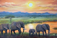 Elephants